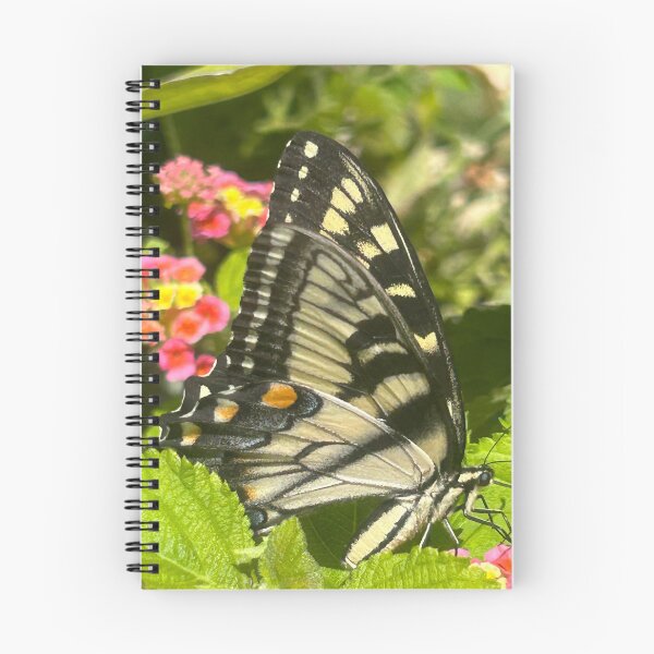 Item preview, Butterfly photograph  designed and sold by Rachel the Artist .