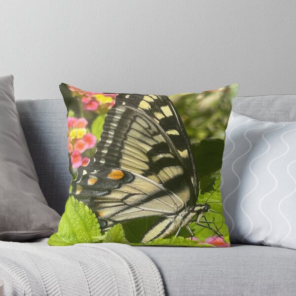 Item preview, Butterfly photograph  designed and sold by Rachel the Artist .