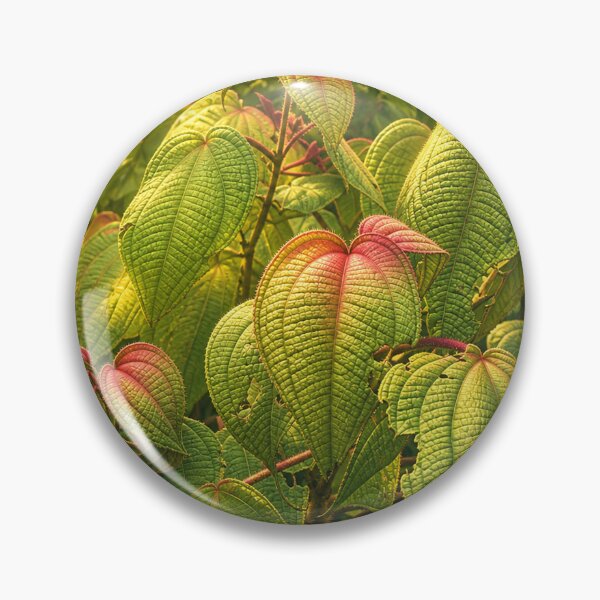 Item preview, Plants of Toro Negro rainforest - top mountain of Puerto Rico designed and sold by www.elyunqueprints.store.