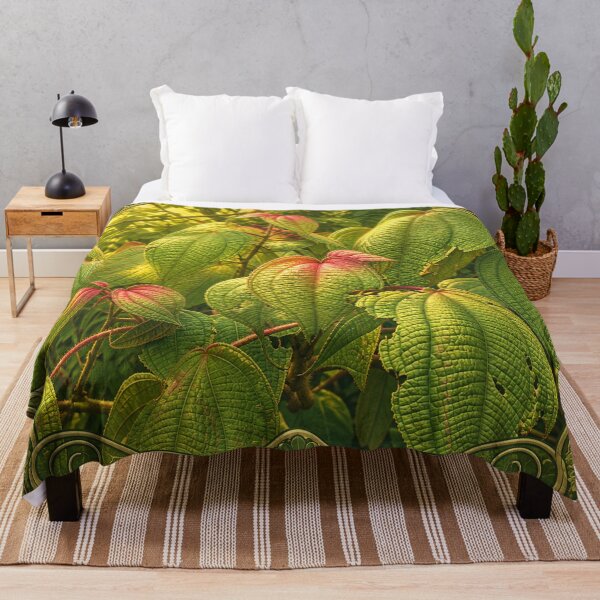 Item preview, Plants of Toro Negro rainforest - top mountain of Puerto Rico designed and sold by www.elyunqueprints.store.
