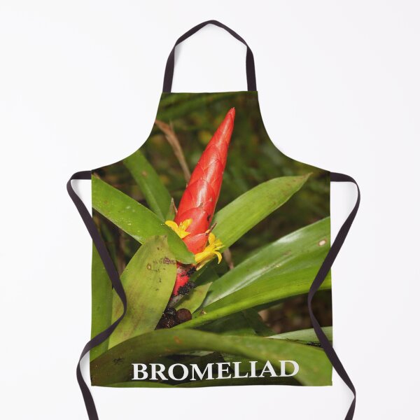 Item preview, The Bromeliad in flower - an air plant that lives holding to trees for water & sun designed and sold by www.elyunqueprints.store.