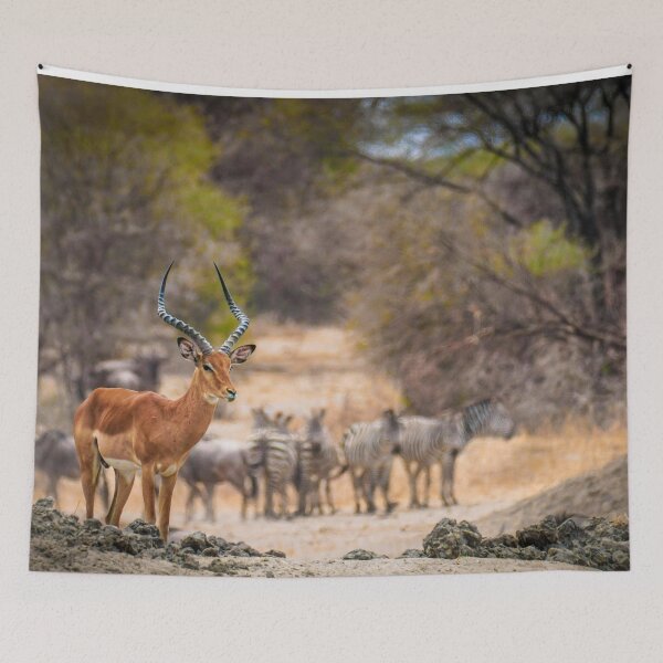 Item preview, gazelle designed and sold by 7ANEEN00.