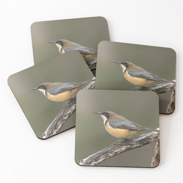 Item preview, Eastern Spinebill Melton designed and sold by David  Hibberd.