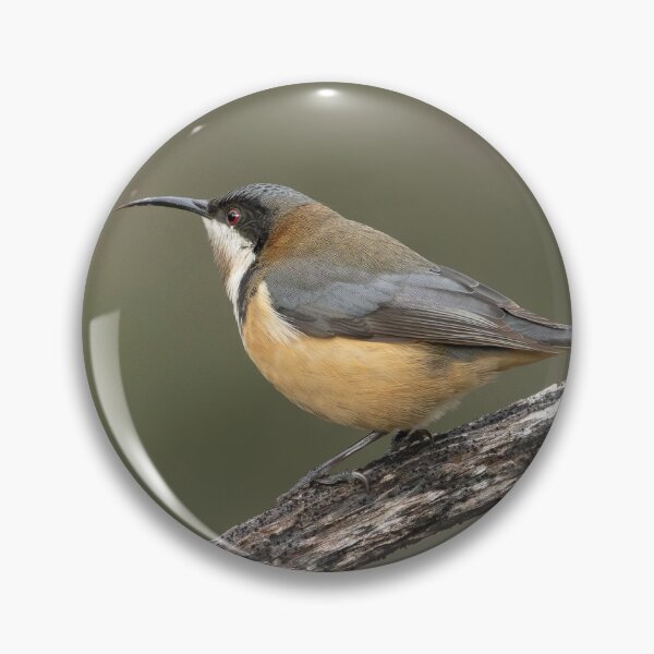 Item preview, Eastern Spinebill Melton designed and sold by David Hibberd.