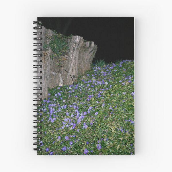 Item preview, Periwinkle at Night designed and sold by OHPhotography.