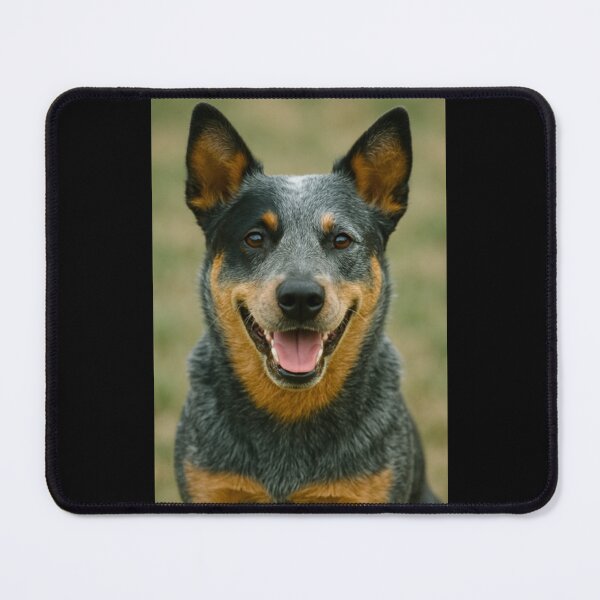 Item preview, Australian Cattle Dog designed and sold by BackgroundND.