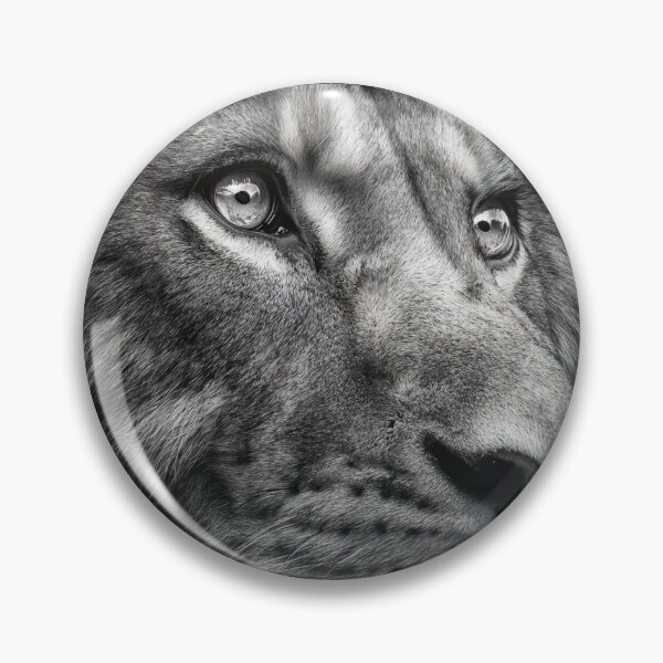 Item preview, Macrophotography black and white closeup lion designed and sold by dcrc.