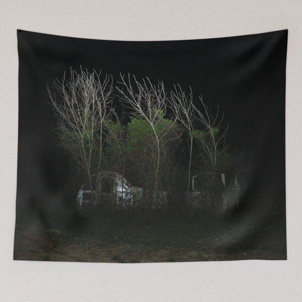Item preview, Abandoned Greenhouse Tunnel at Night designed and sold by OHPhotography.