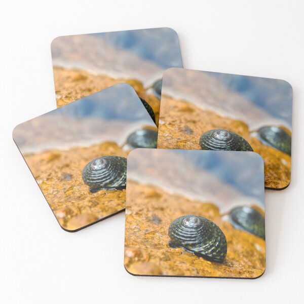 Item preview, Seashell designed and sold by art-by-len.