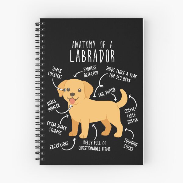 Item preview, Yellow Labrador Retriever Dog Anatomy designed and sold by Clara Hollins.