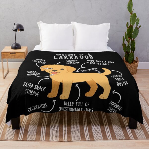 Item preview, Anatomía del perro Labrador Retriever amarillo designed and sold by Clara Hollins.