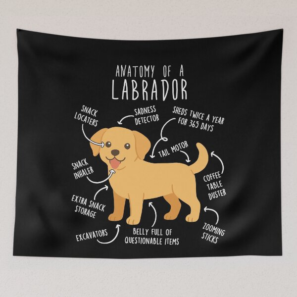 Item preview, Yellow Labrador Retriever Dog Anatomy designed and sold by Clara Hollins.