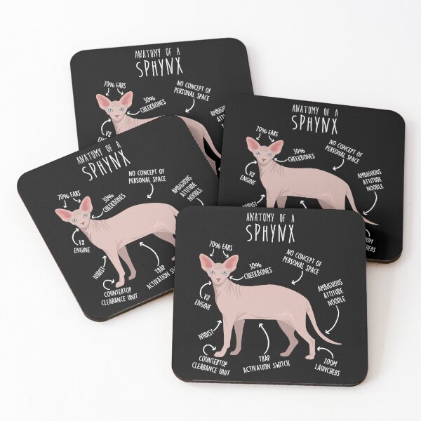 Item preview, Red Sphynx Cat Anatomy designed and sold by Clara Hollins.