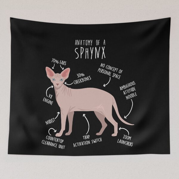 Item preview, Red Sphynx Cat Anatomy designed and sold by Clara Hollins.