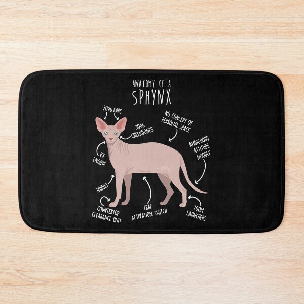 Item preview, Red Sphynx Cat Anatomy designed and sold by Clara Hollins.