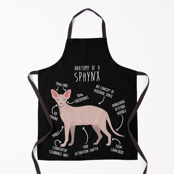 Item preview, Red Sphynx Cat Anatomy designed and sold by Clara Hollins.