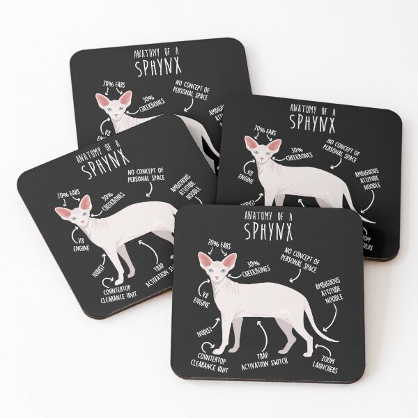 Item preview, White Sphynx Cat Anatomy designed and sold by Clara Hollins.