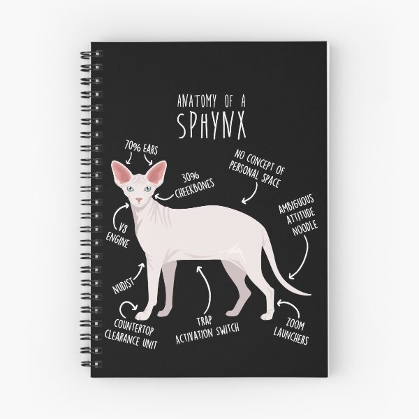 Item preview, White Sphynx Cat Anatomy designed and sold by Clara Hollins.