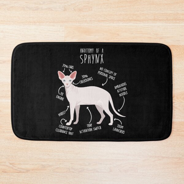 Item preview, White Sphynx Cat Anatomy designed and sold by Clara Hollins.