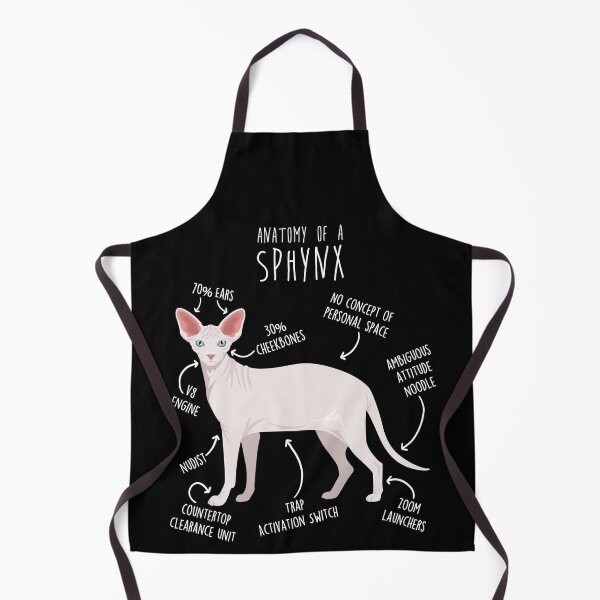 Item preview, White Sphynx Cat Anatomy designed and sold by Clara Hollins.