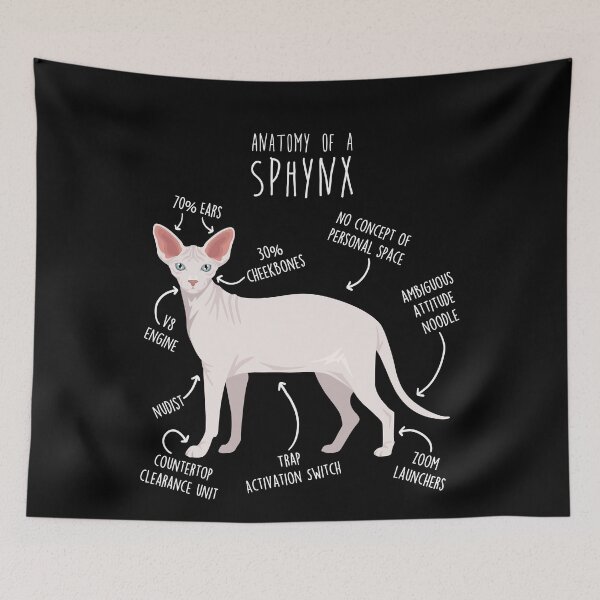 Item preview, White Sphynx Cat Anatomy designed and sold by Clara Hollins.