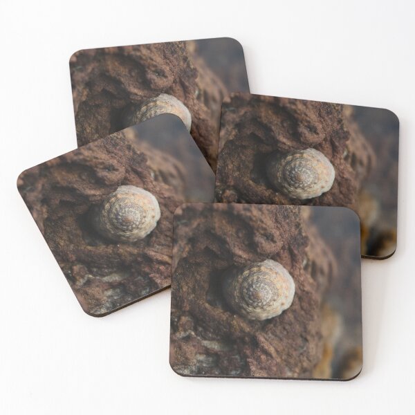 Item preview, Seashell & rocks designed and sold by art-by-len.
