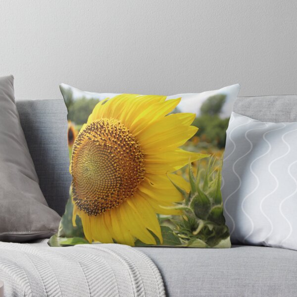 Item preview, Racing Season  designed and sold by HeathersHope.