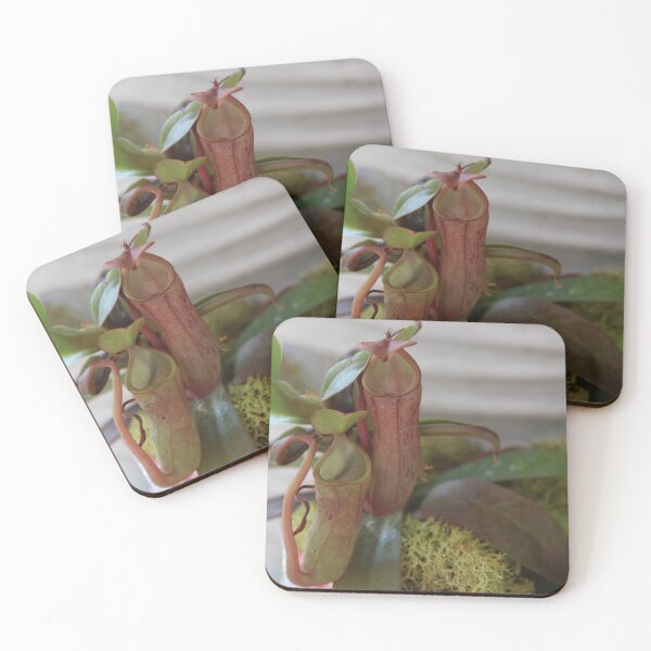 Item preview, FlyTraps designed and sold by HeathersHope.
