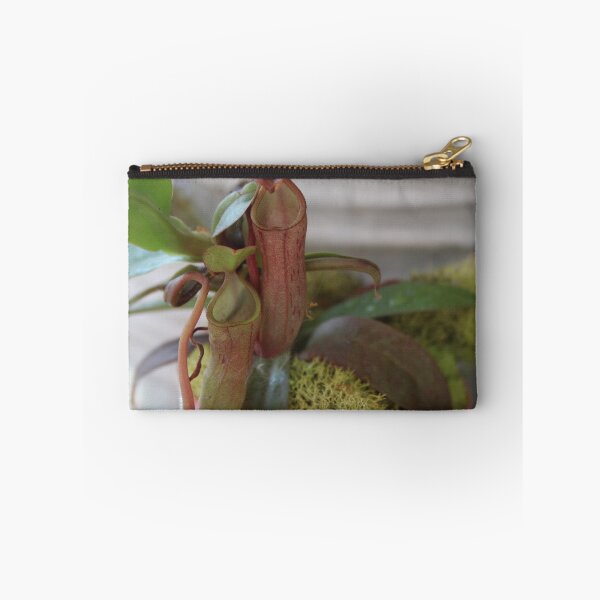 Item preview, FlyTraps designed and sold by HeathersHope.