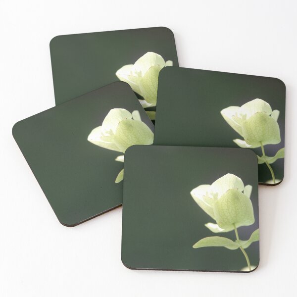 Item preview, Echinacea in bloom designed and sold by HeathersHope.