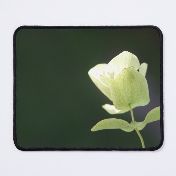Item preview, Echinacea in bloom designed and sold by HeathersHope.