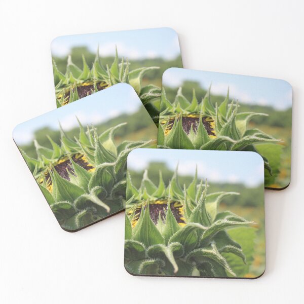 Item preview, Time to Bloom designed and sold by HeathersHope.