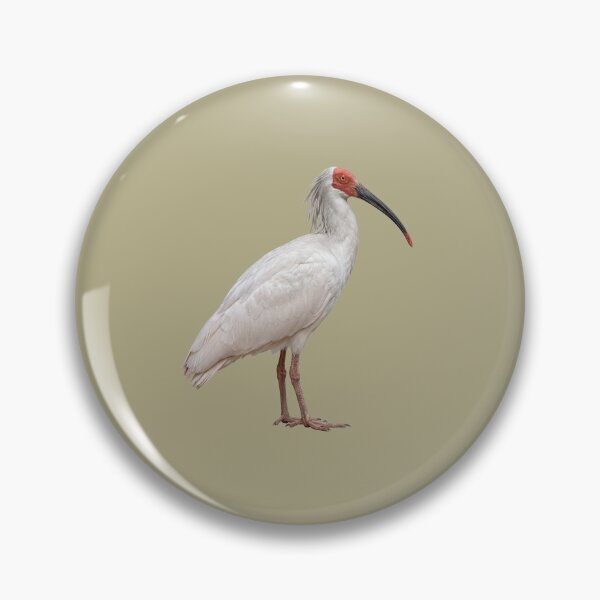Item preview,  Crested Ibis designed and sold by ArunDandiboina.