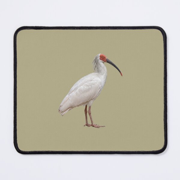 Item preview, Crested Ibis designed and sold by ArunDandiboina.