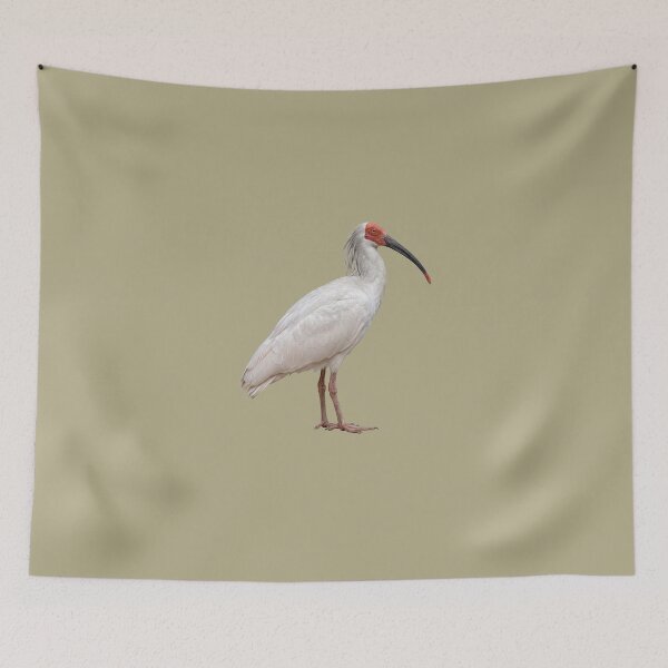 Item preview,  Crested Ibis designed and sold by ArunDandiboina.