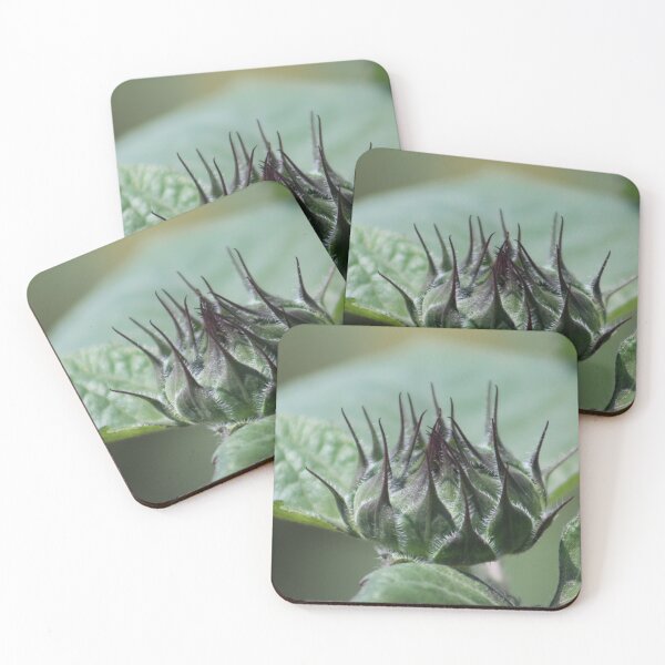 Item preview, Sunflower Budding designed and sold by HeathersHope.