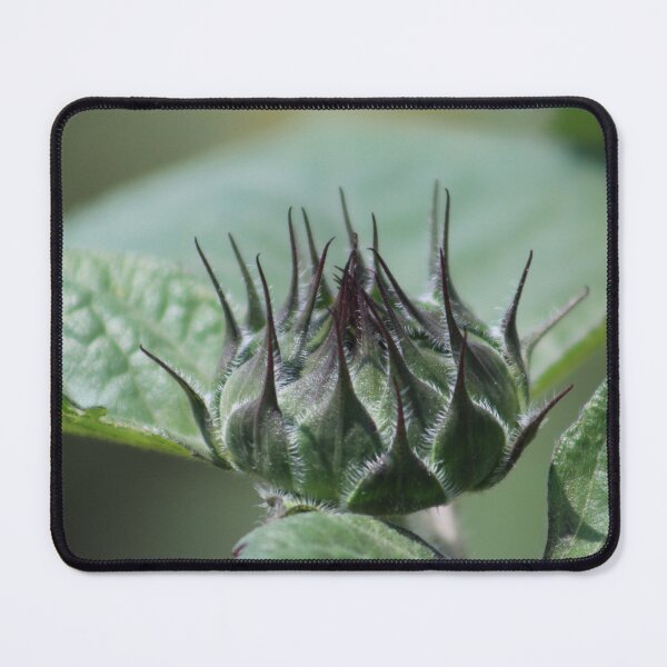 Item preview, Sunflower Budding designed and sold by HeathersHope.