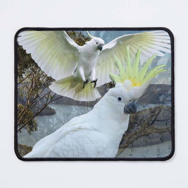 Item preview, Cockatoo designed and sold by GeoGoose.