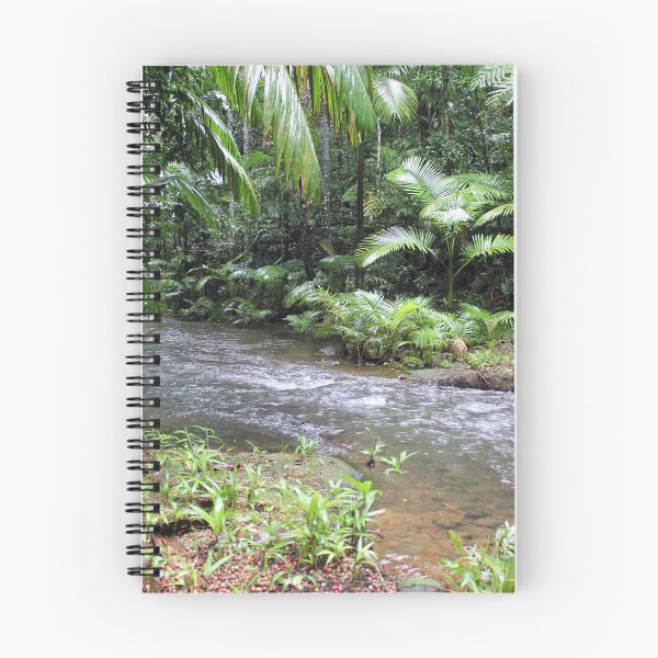 Item preview, Lacey Creek Rainforest Stream in North Queensland designed and sold by 27Tammy27.