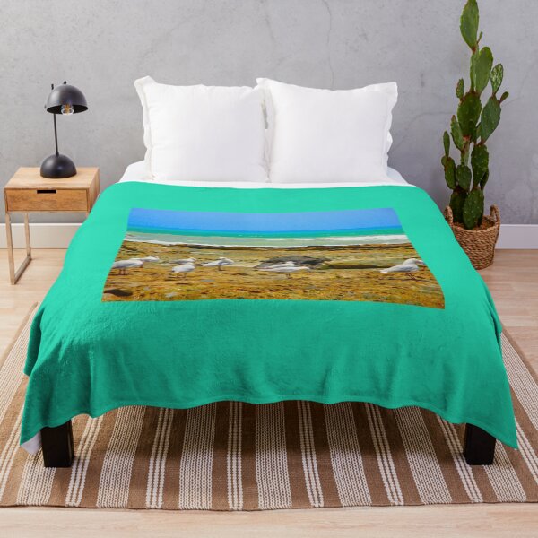 Item preview, Birds on the Beach designed and sold by Anthony Macaluso.