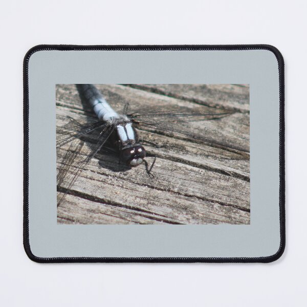 Item preview, Warrior at the Ready designed and sold by HeathersHope.