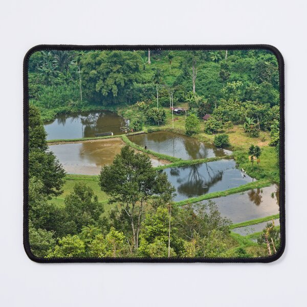 Item preview, Green and aquatic harmony in Western Sumatra designed and sold by franck380.