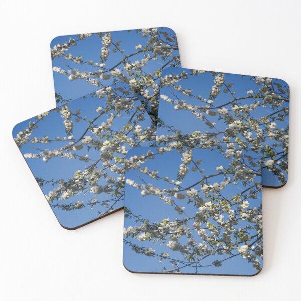 Artikelvorschau, Kirschblüten bei blauem Himmel entworfen und verkauft von pigeonlovrs.