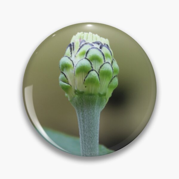 Item preview, Bloom where you are planted. designed and sold by HeathersHope.