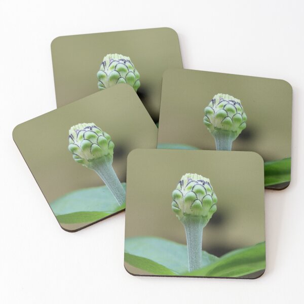 Item preview, Bloom where you are planted. designed and sold by HeathersHope.
