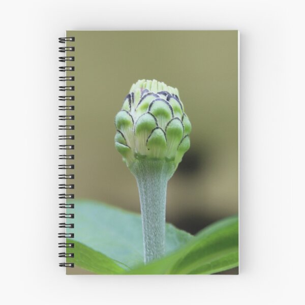 Item preview, Bloom where you are planted. designed and sold by HeathersHope.