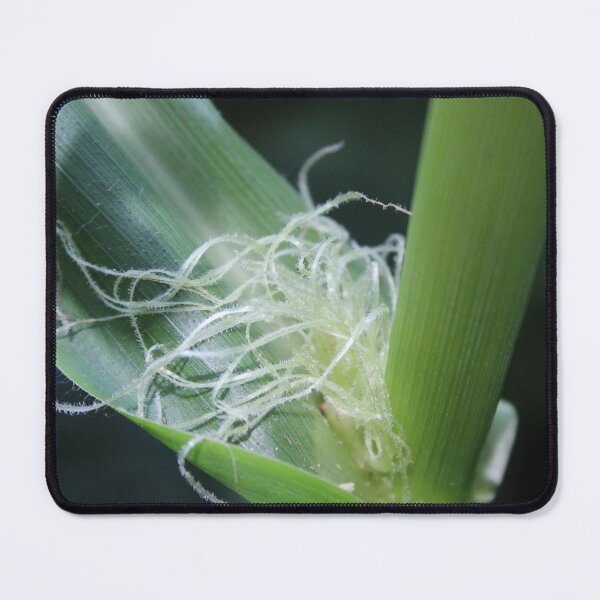 Item preview, PreHarvest designed and sold by HeathersHope.
