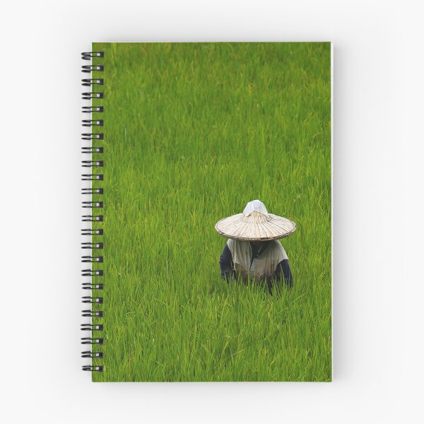 Item preview, The guardian of the sacred rice paddies of Sumatra designed and sold by franck380.