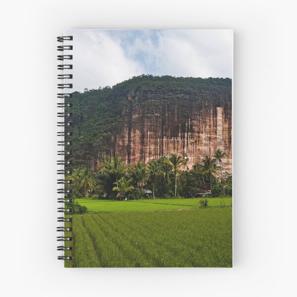 Item preview, Rural serenity facing the Asian stone giant designed and sold by franck380.