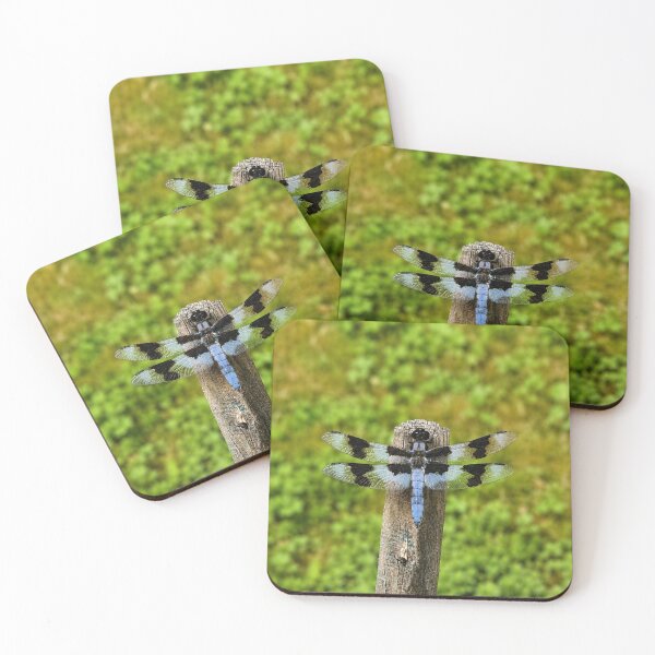 Item preview, Blue Dasher Dragonfly on Weathered Fence Post designed and sold by Swanny's Custom T-shirt and Gift Designs.
